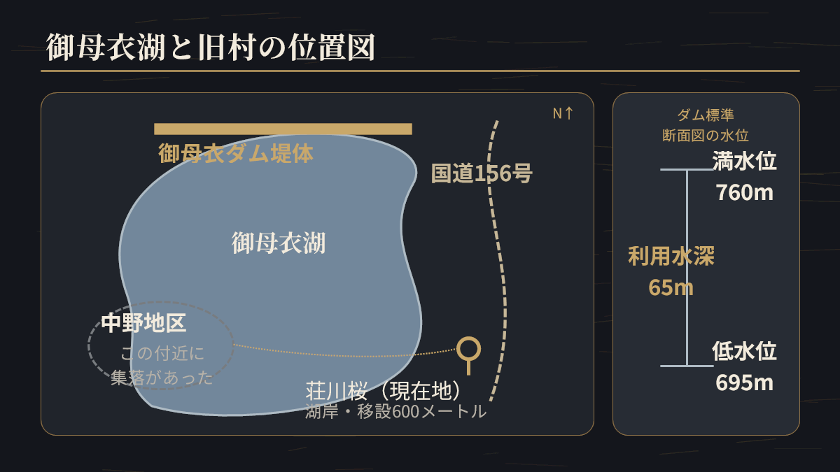 御母衣湖と旧村のおおよその位置関係。荘川桜は水没地から600メートル離れた湖岸へ移された。右は説明板の断面図にある満水位760メートル、低水位695メートル、利用水深65メートル
