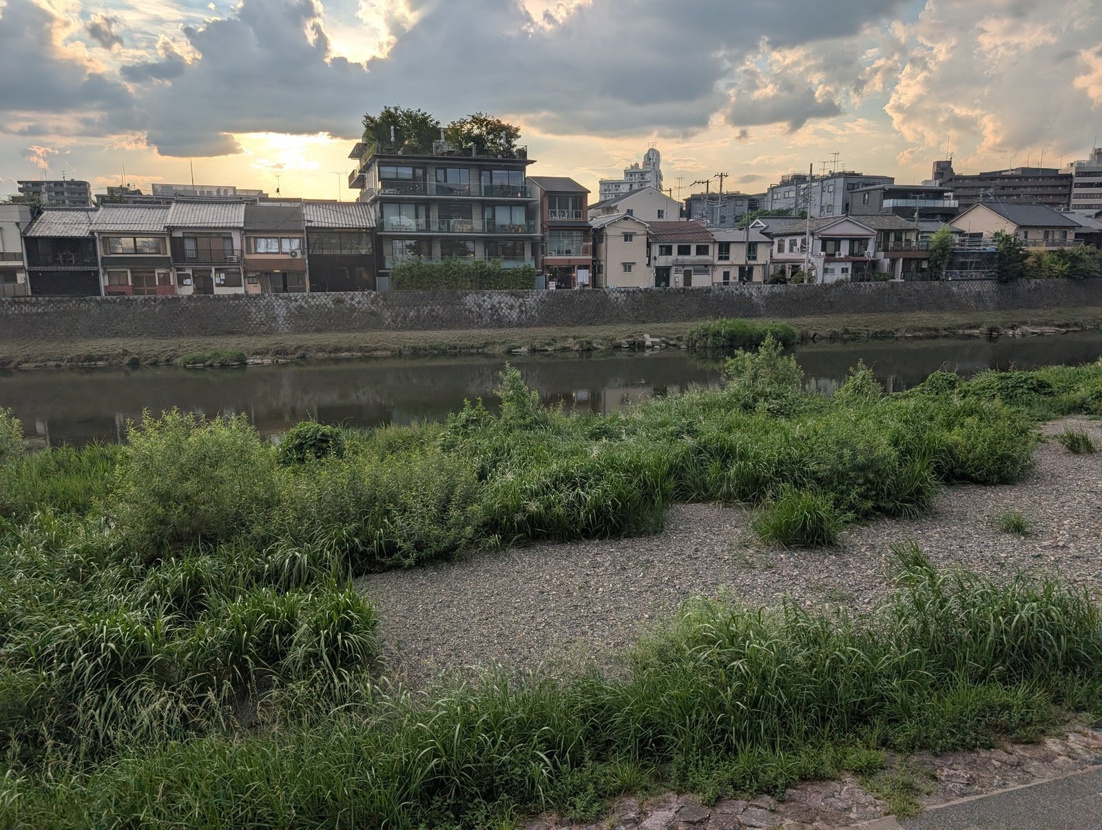 五条大橋と正面橋のあいだの鴨川の河原。草と砂利が広がる(2026-08-22 撮影)